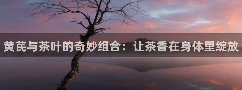 金年会娱乐下载app