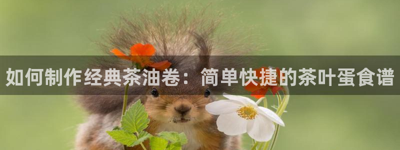 金年会体育下载app