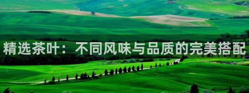 年会金句心得