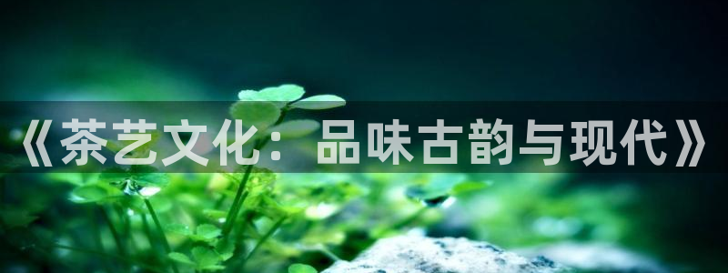 澳门娱乐金年会