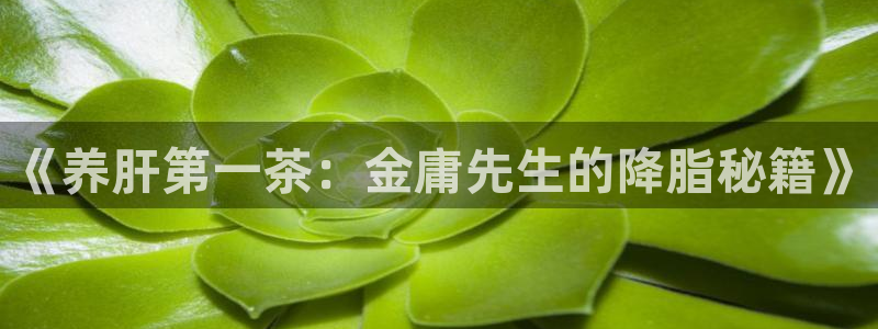 金年会投注官网