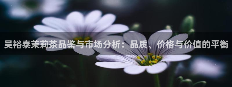金诺利年会