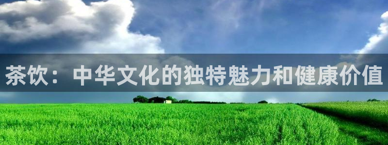 金科年会图片