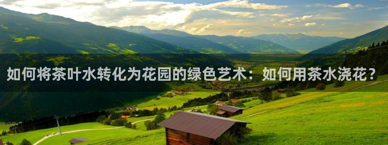 宝金年会