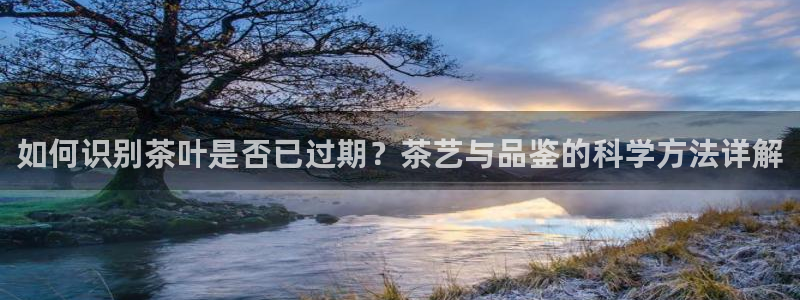 金年会提款慢