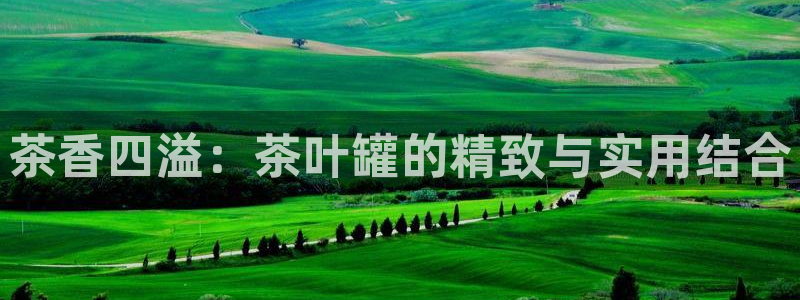 金年会是正规的吗