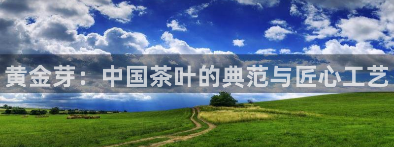 金年会官网app