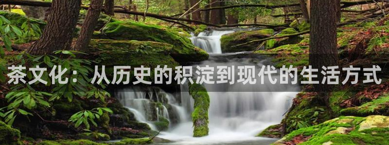 金年会赞助西甲