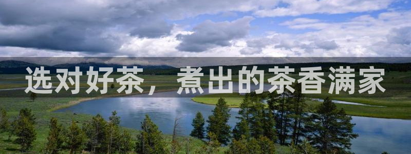 金年会体育金年会官网