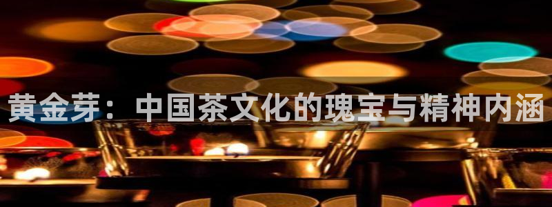 金年会体育平台入口