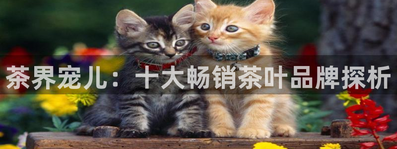 金年会6766