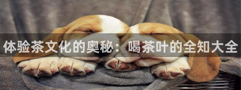 金年会体育苹果下载