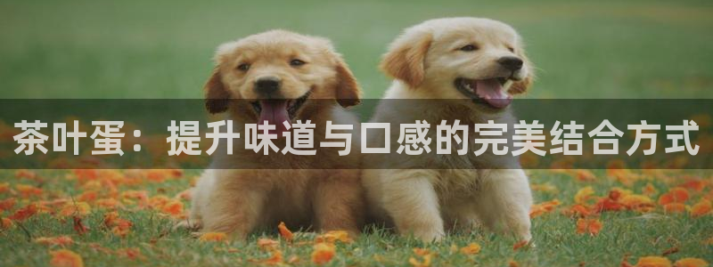 澳门与金年会的关系