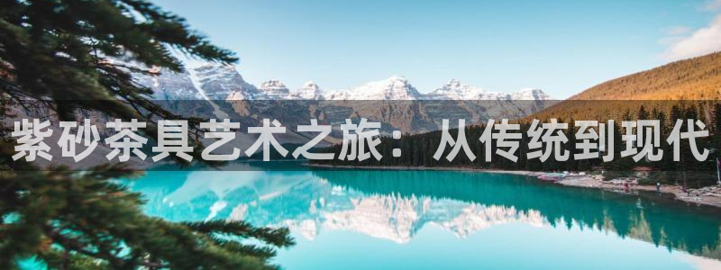 金年会官方网站