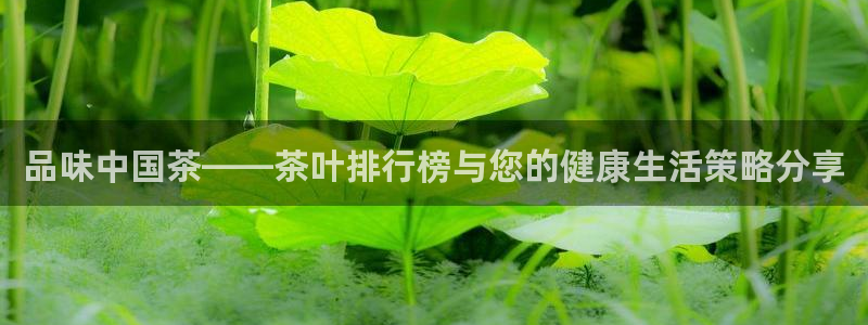 金年会平台是什么