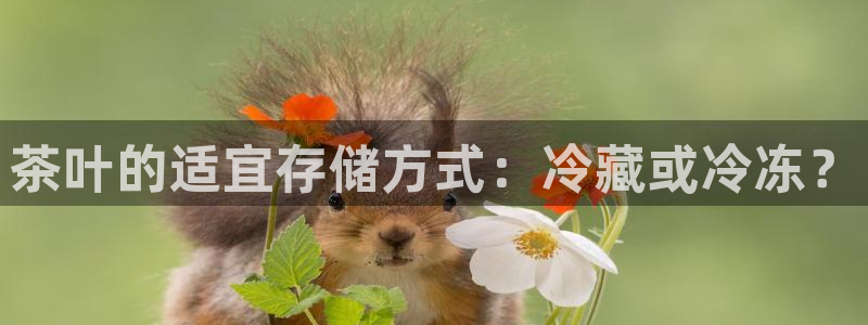 金年会在线下载