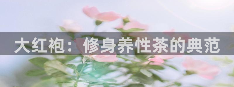 金年会体育官方