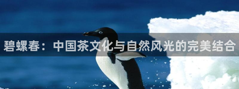 澳门金年会棋牌