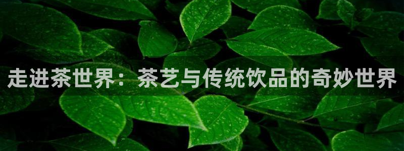 金年会官方