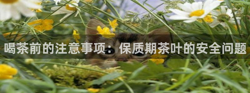 金诚集团年会