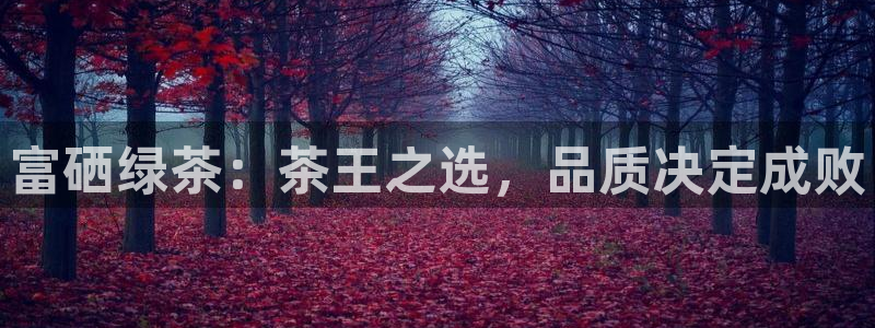 金年会体育官方网站入口