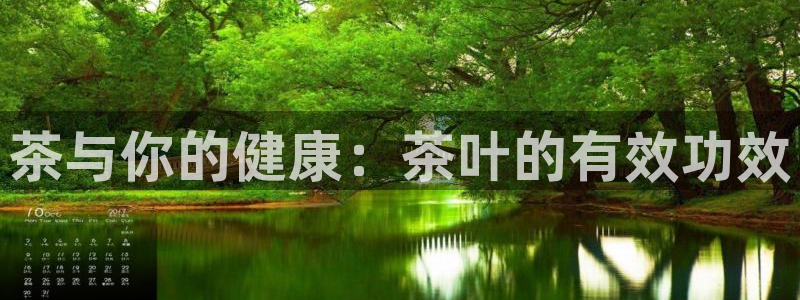 金年会体育app下载