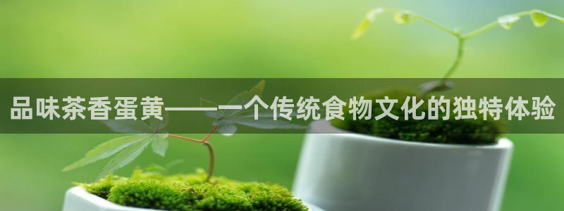 金年会网页