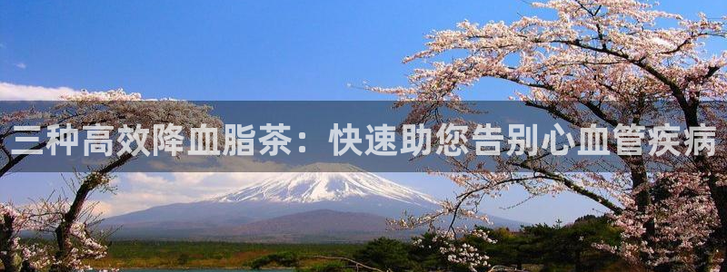 类似金年会