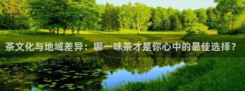 金年会娱乐官网
