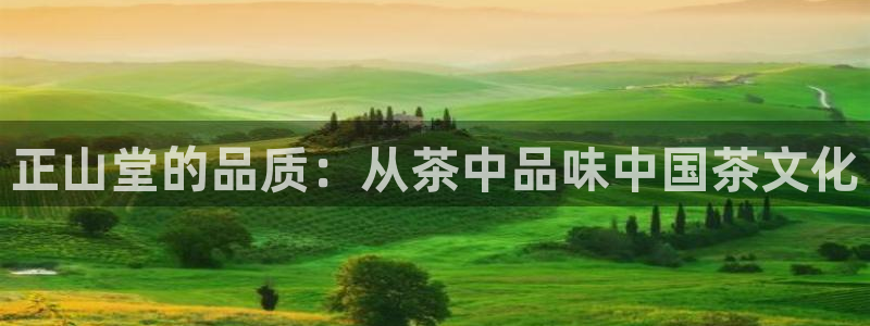金年会黑平台