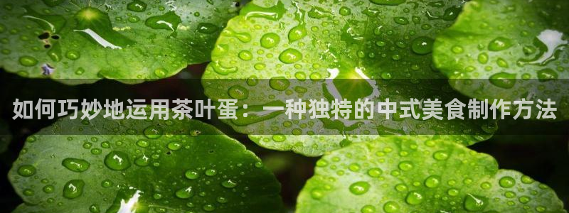 金年会手机网页版登录