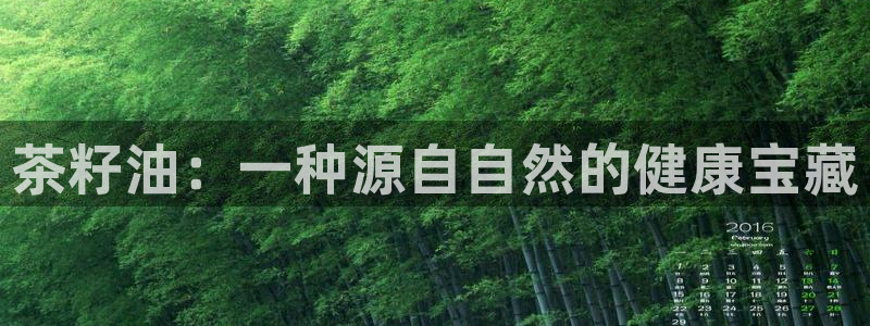 金年会下载官方