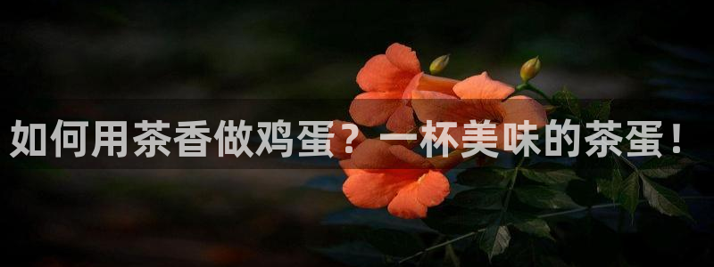 金年会平台出款