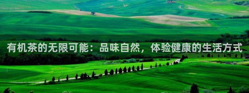 金年会投注官网