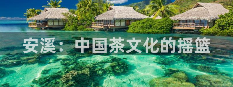 金年会官网app