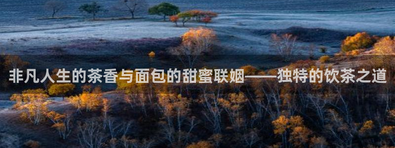 金年会投注官网