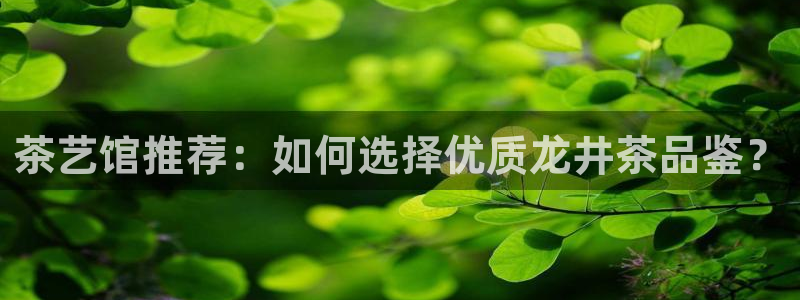 金年会棋牌
