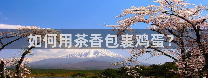 金年会电子游戏app