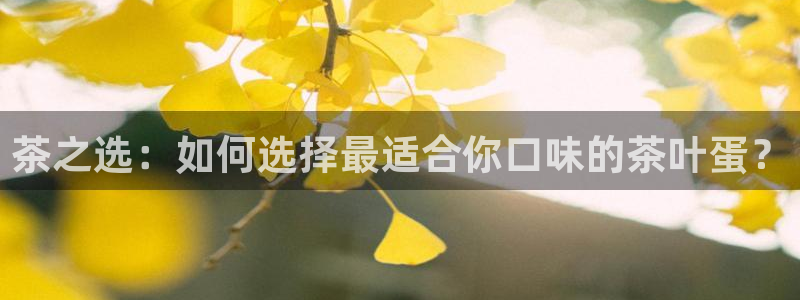 金年会在线