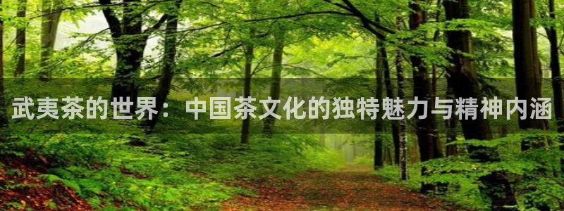 金年会不给提现