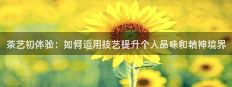 金年会6766澳门联合