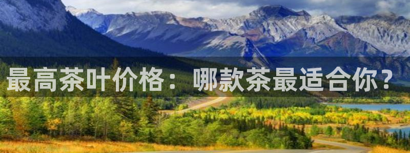 金年会平台是什么