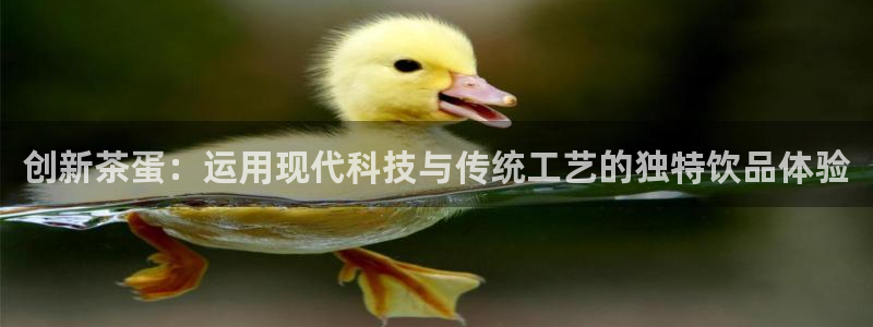 金帆年会2017