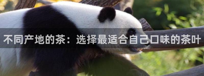 今金年会