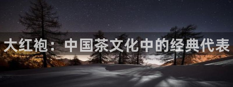金年会电子游戏app
