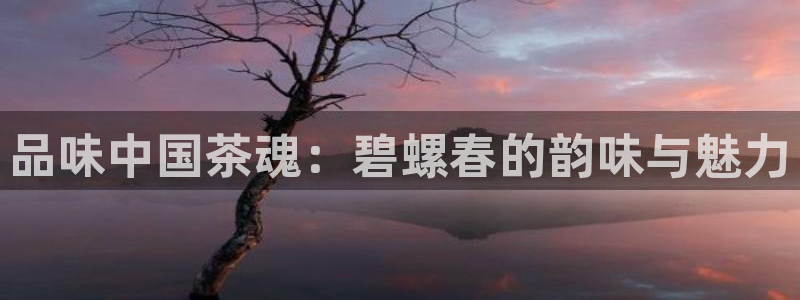金年会101