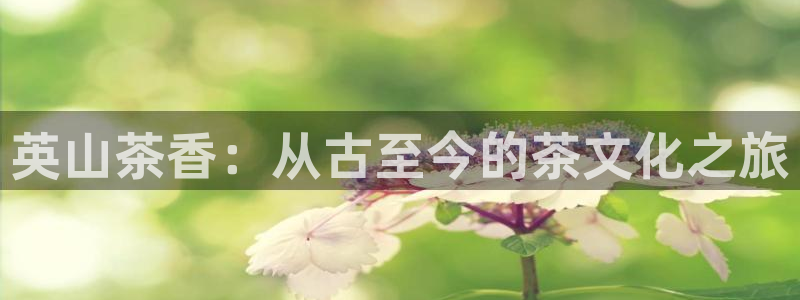 金年会网址