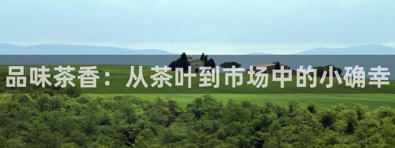 金年会这个平台