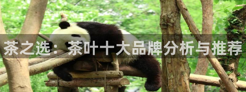 金年会平台是真的吗