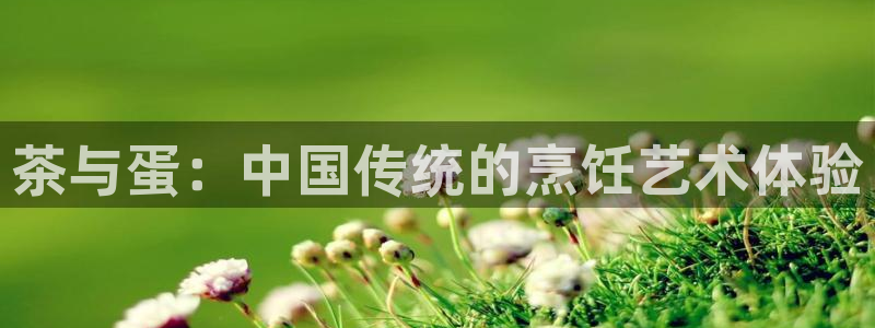 世纪金源年会